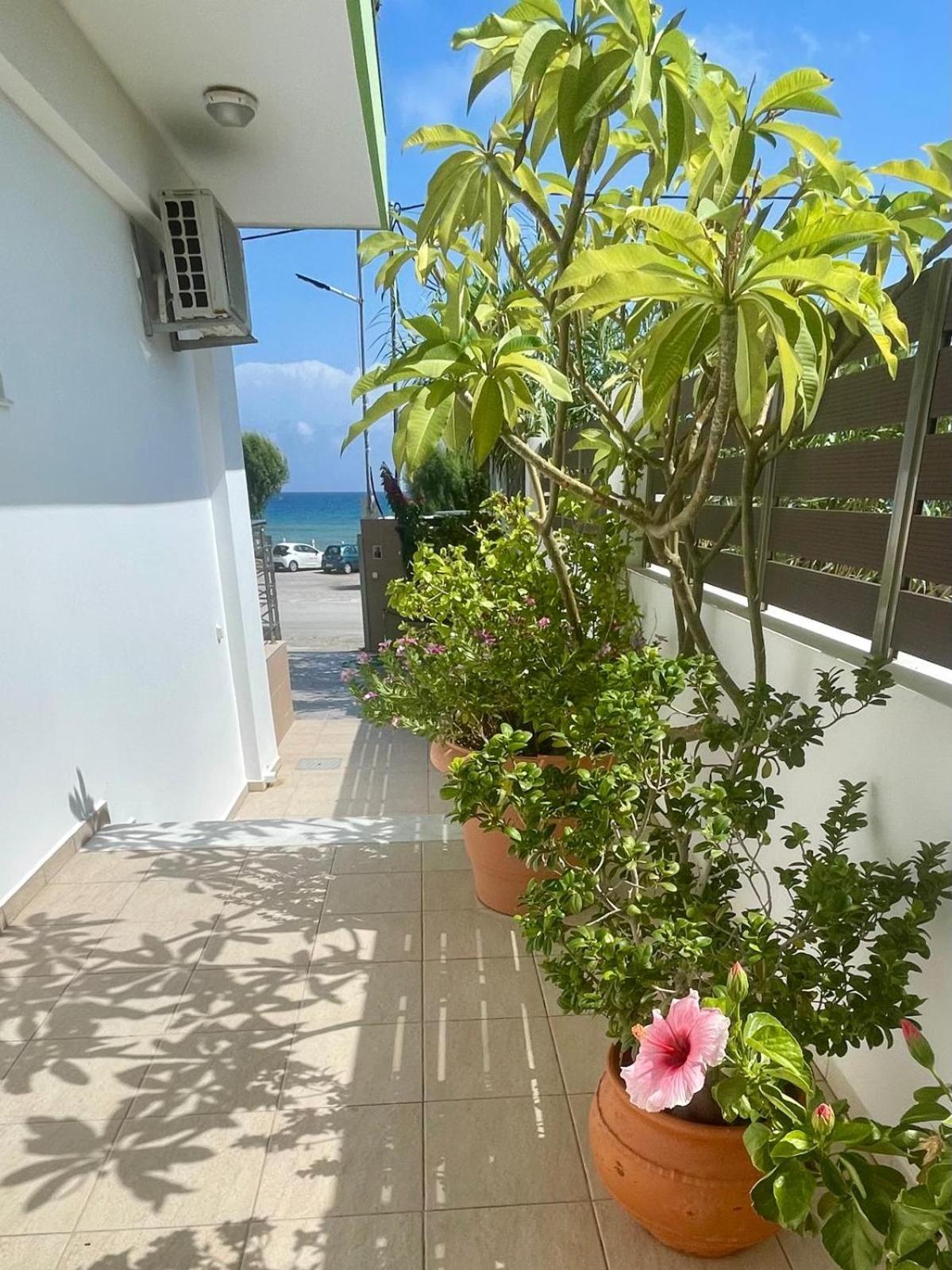 Red Hibiscus Stegna ξενώνας Αρχάγγελος Εξωτερικό φωτογραφία